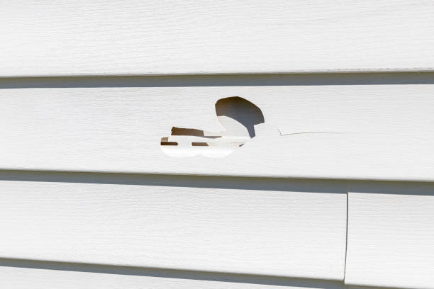 Best Brick Veneer Siding  in Troy, AL