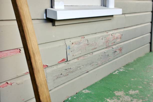 Affordable siding repair and maintenance services in Troy, AL